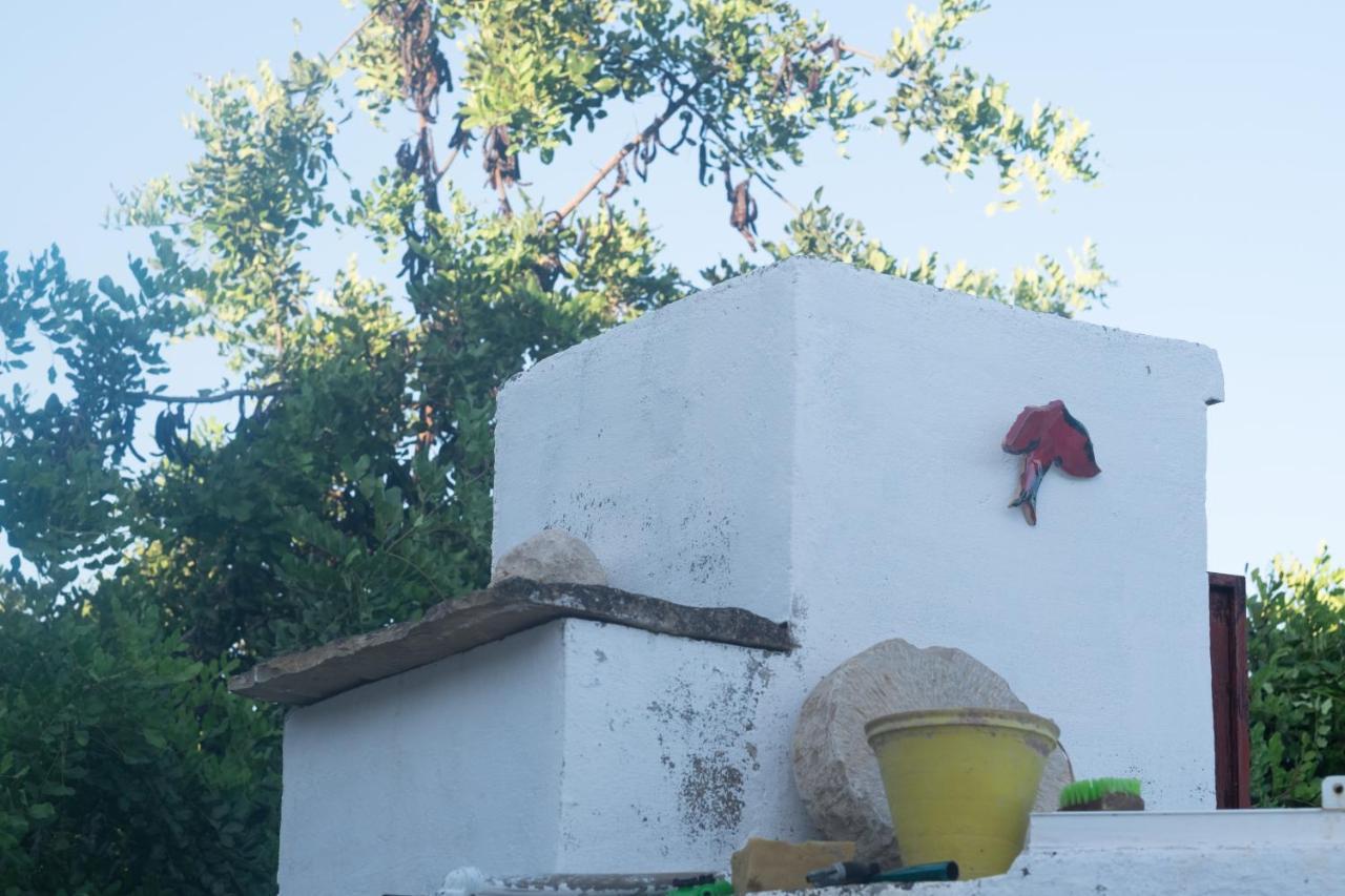 Casa Da Cabeca * Azinheiro