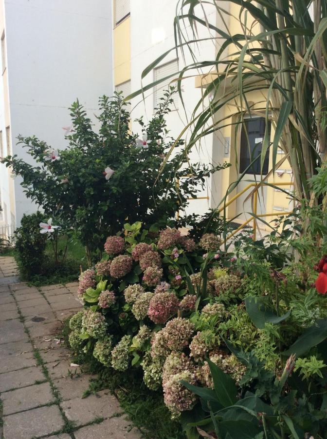 Apartment Jardim Flores *