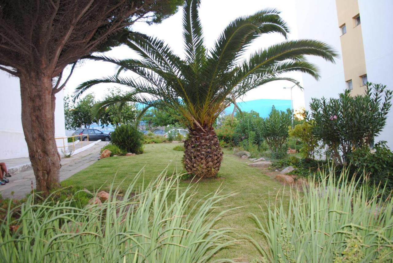 Apartment Jardim Flores *