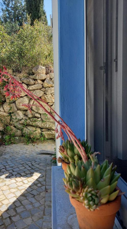 Casinha Do Sul Holiday home