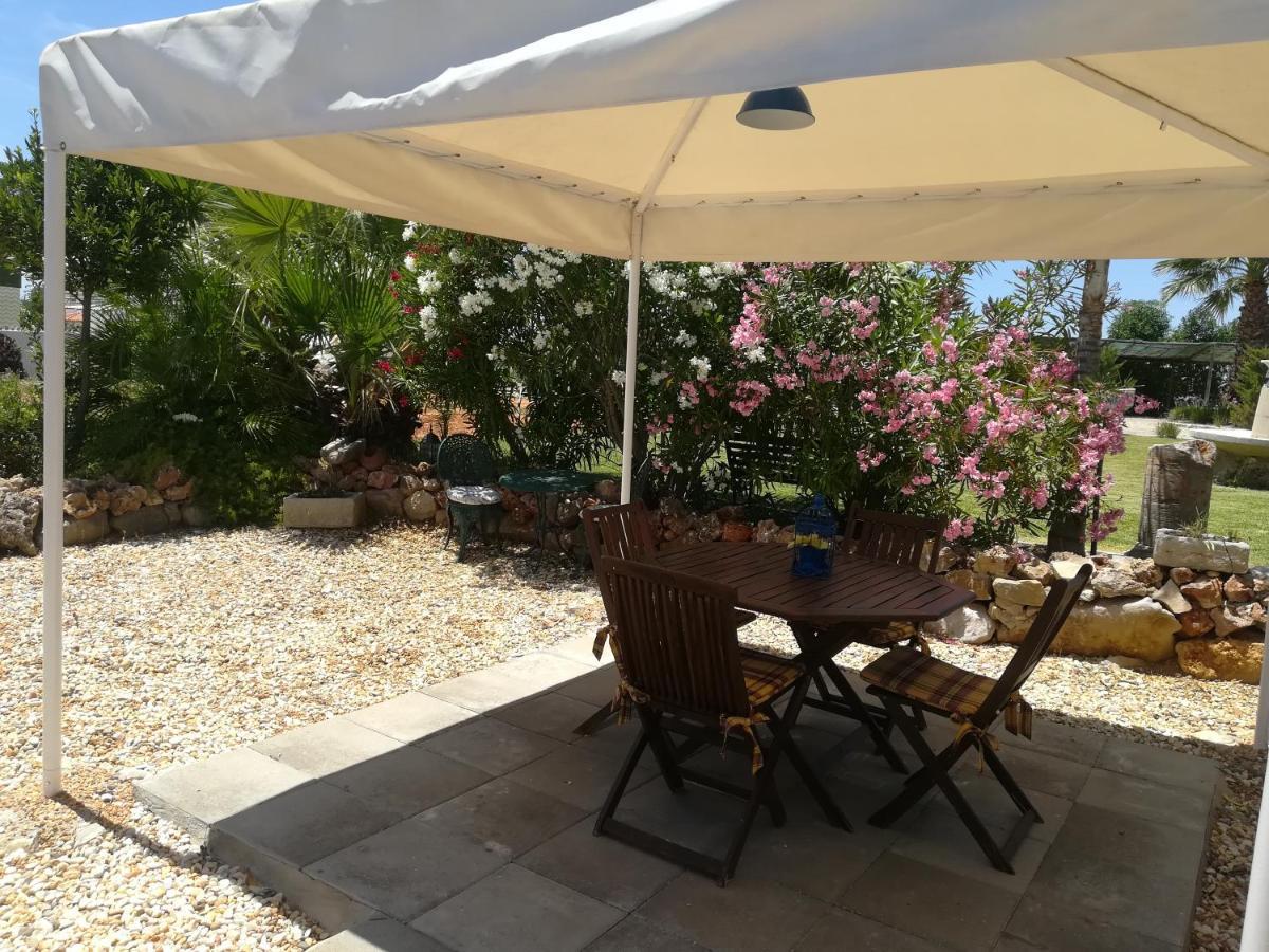 Farm stay Monte Do Afonso *