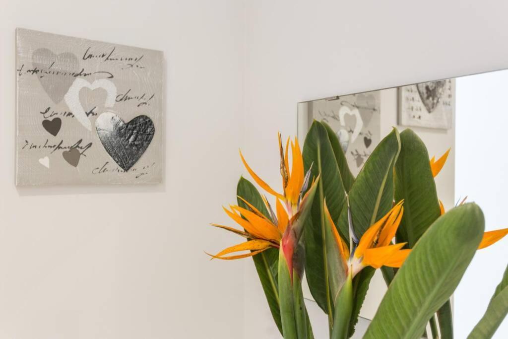 Cosy Apartamento