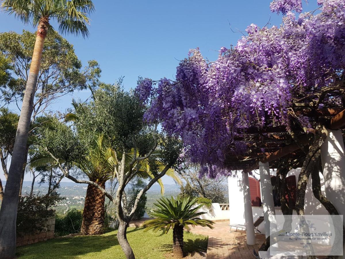 Monte-bougainvillea * Azinheiro