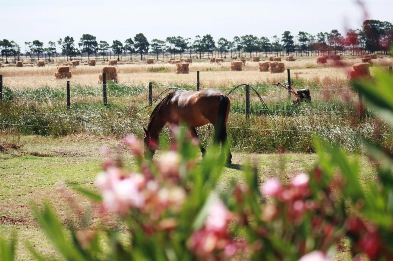 Herdade Dos Salgados Do Fialho *