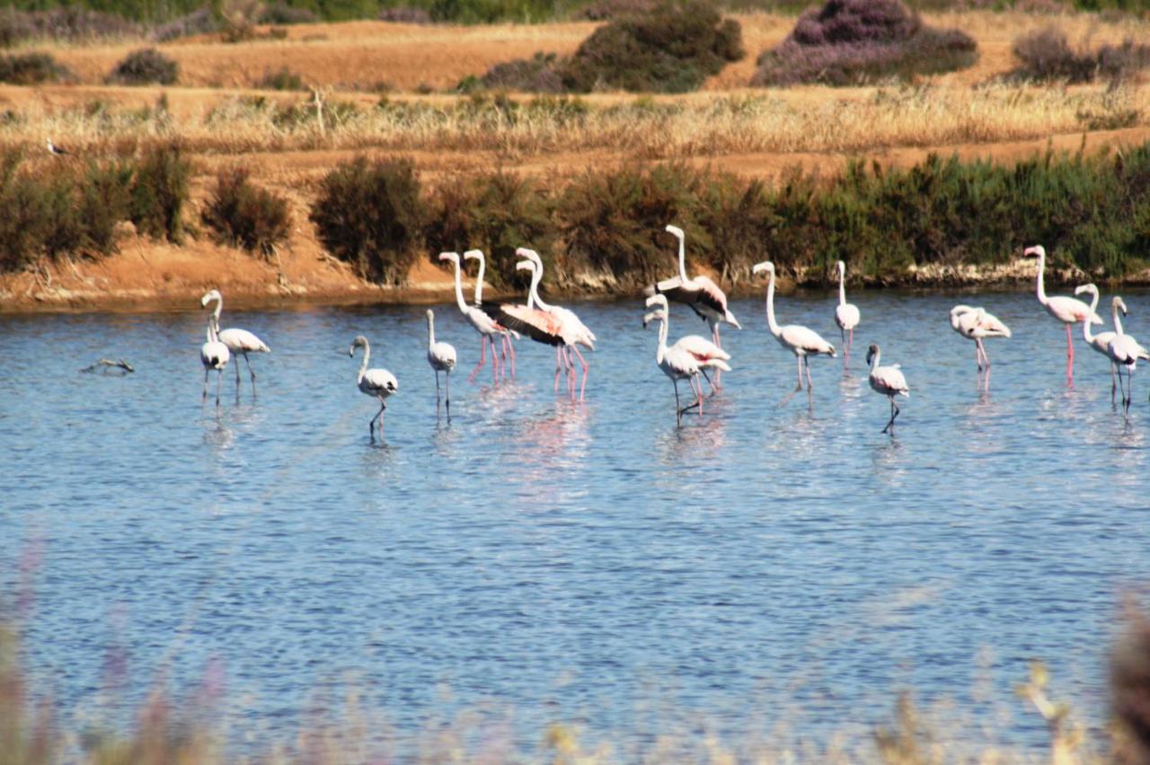 Herdade Dos Salgados Do Fialho Country house