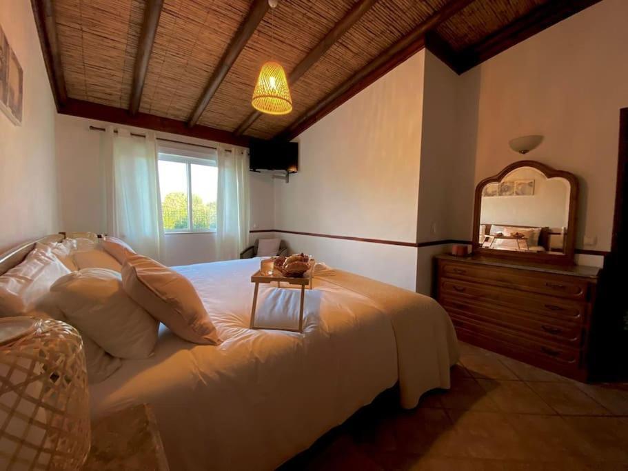 Palma's Place Casanova Moradia #wifi#pool#relax Holiday home