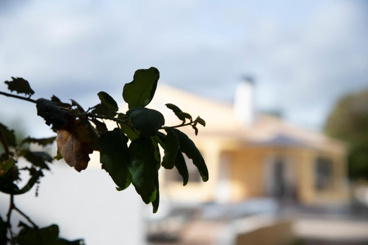 Casa Portus - *