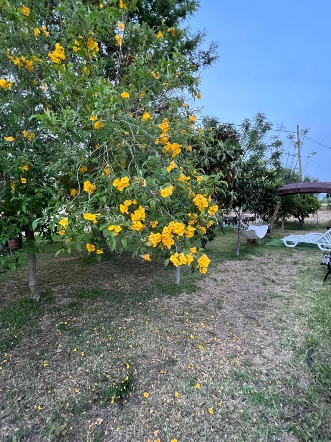 Holiday home Quinta Dos Viegas