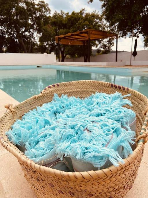 Casa Portus - Holiday home Faro