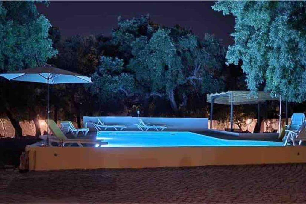 Holiday home Casa Portus -