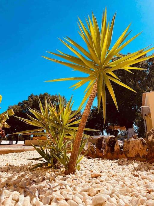 Casa Portus - Holiday home