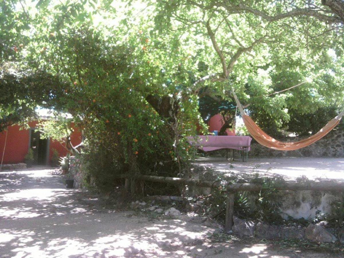 Guest house Casa Bi Rosario - Quinta Amoreira *