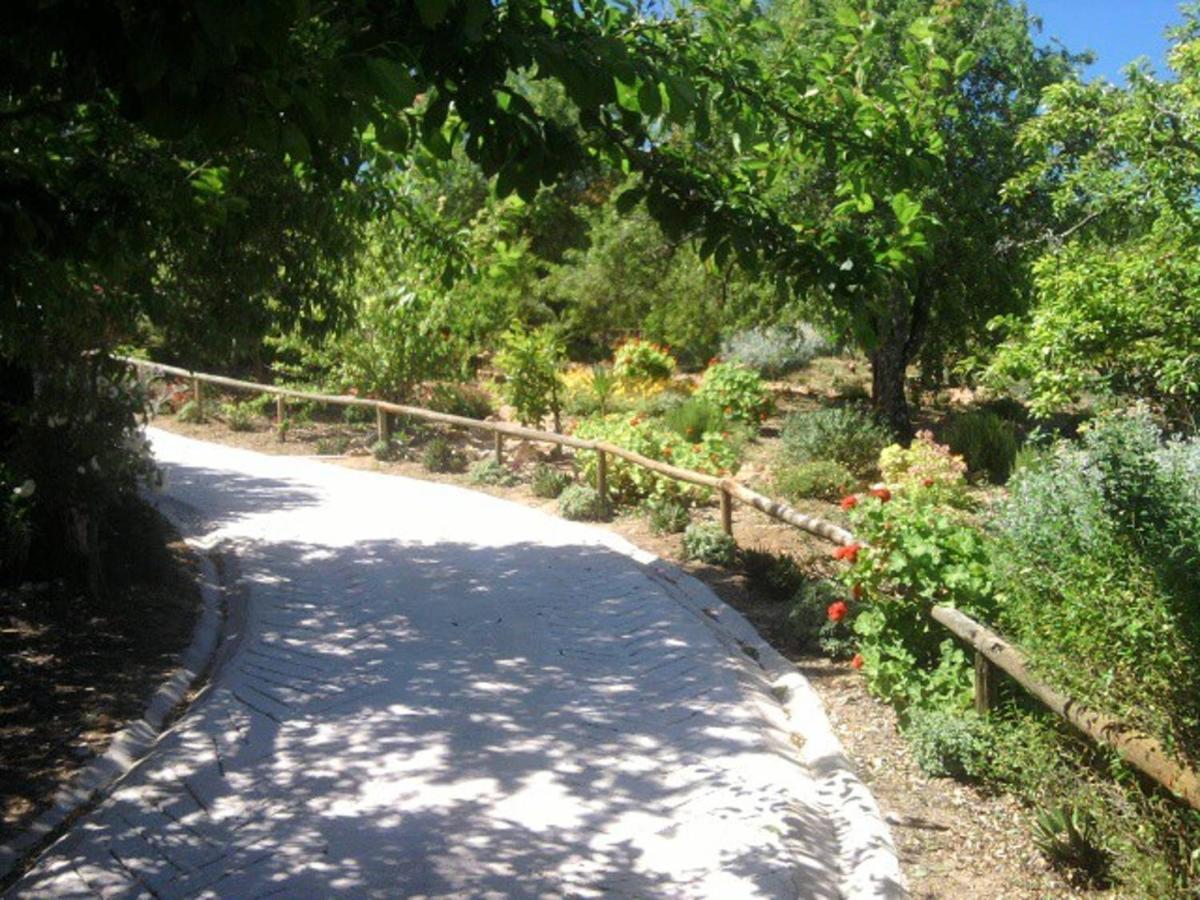Casa Bi Rosario - Quinta Amoreira *