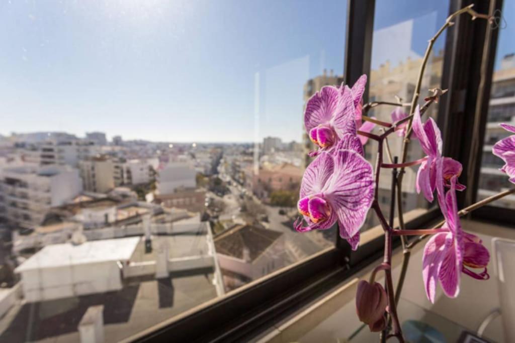 Brigida's Flat Faro