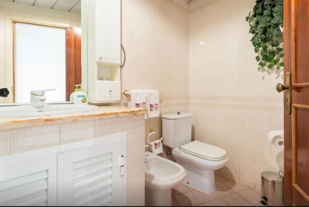 Brigida's Flat Faro