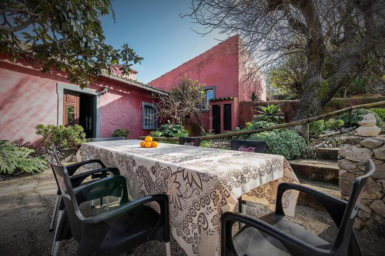 Lodge Casa Amoreira - Quinta Amoreira *