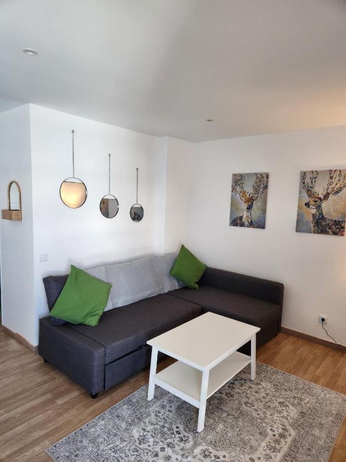 Apartment Growin Downtown Faro