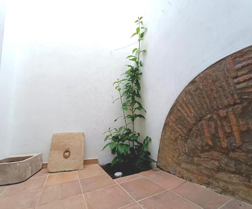 10 Maria - Villa *