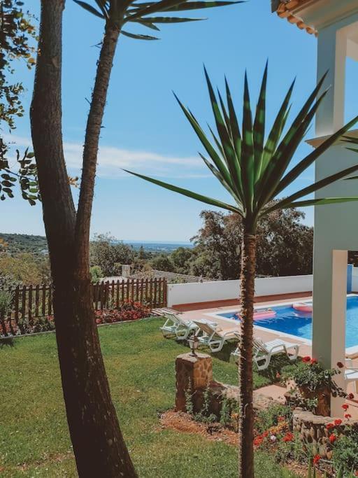 Green Ville Villa