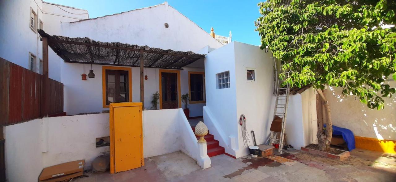 A Casa Da Arvore Hostel