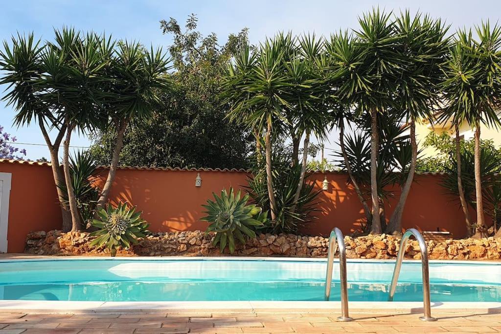 Villa Dos Patudos *