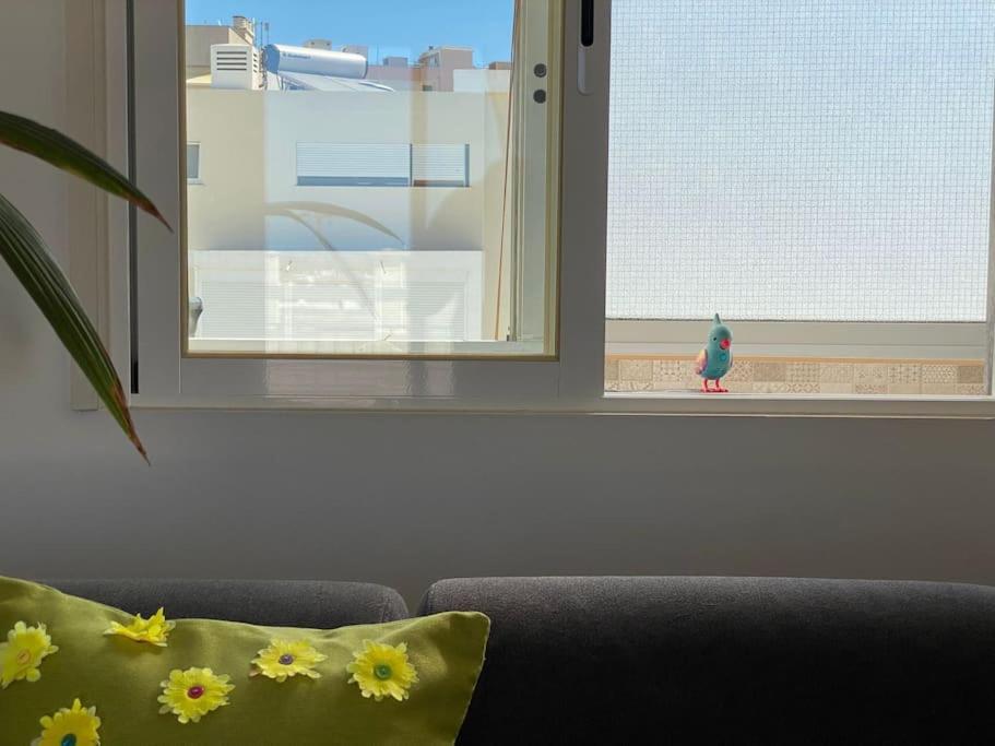 Apartment Superstar Terrace Faro