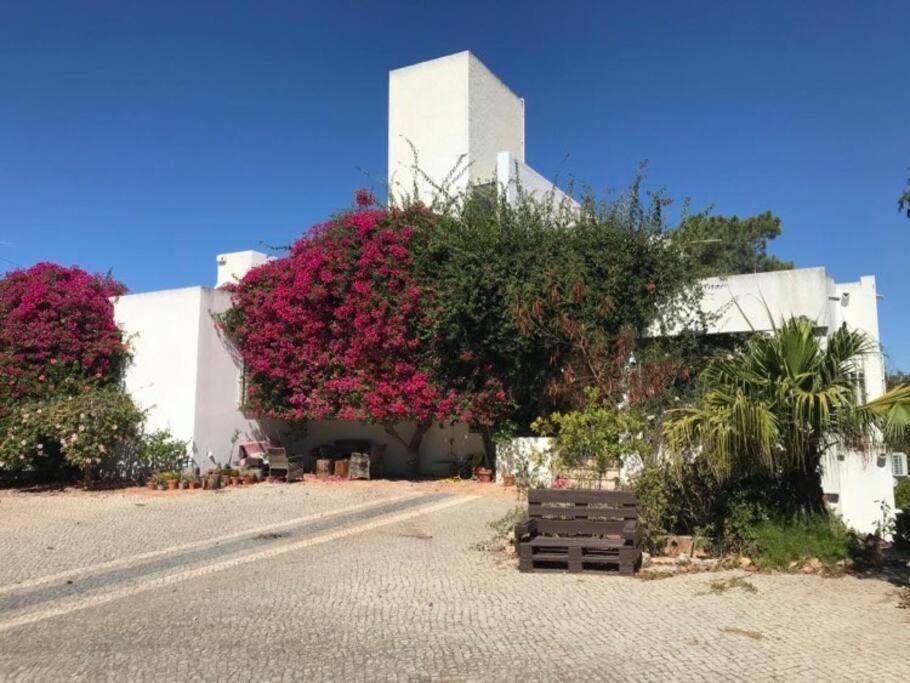 Vila Finlandia - Countryside With A Pool Apartment