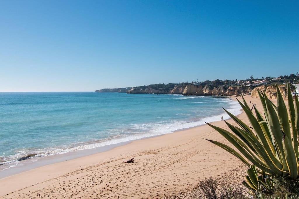 Algarve Modern Flat Pool-parking-ac Nearby Apartment *