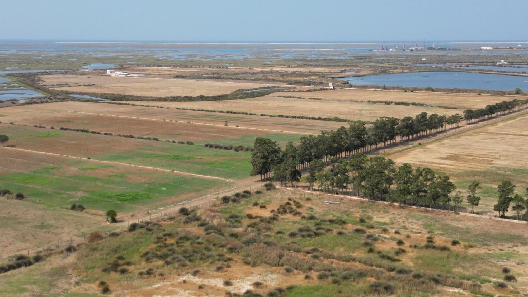 Herdade Dos Salgados Do Fialho Country house Faro