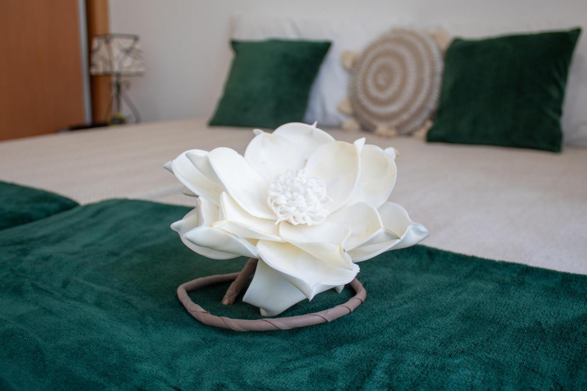 Casa Amarela - Conforto E Localizacao Central! Holiday home *