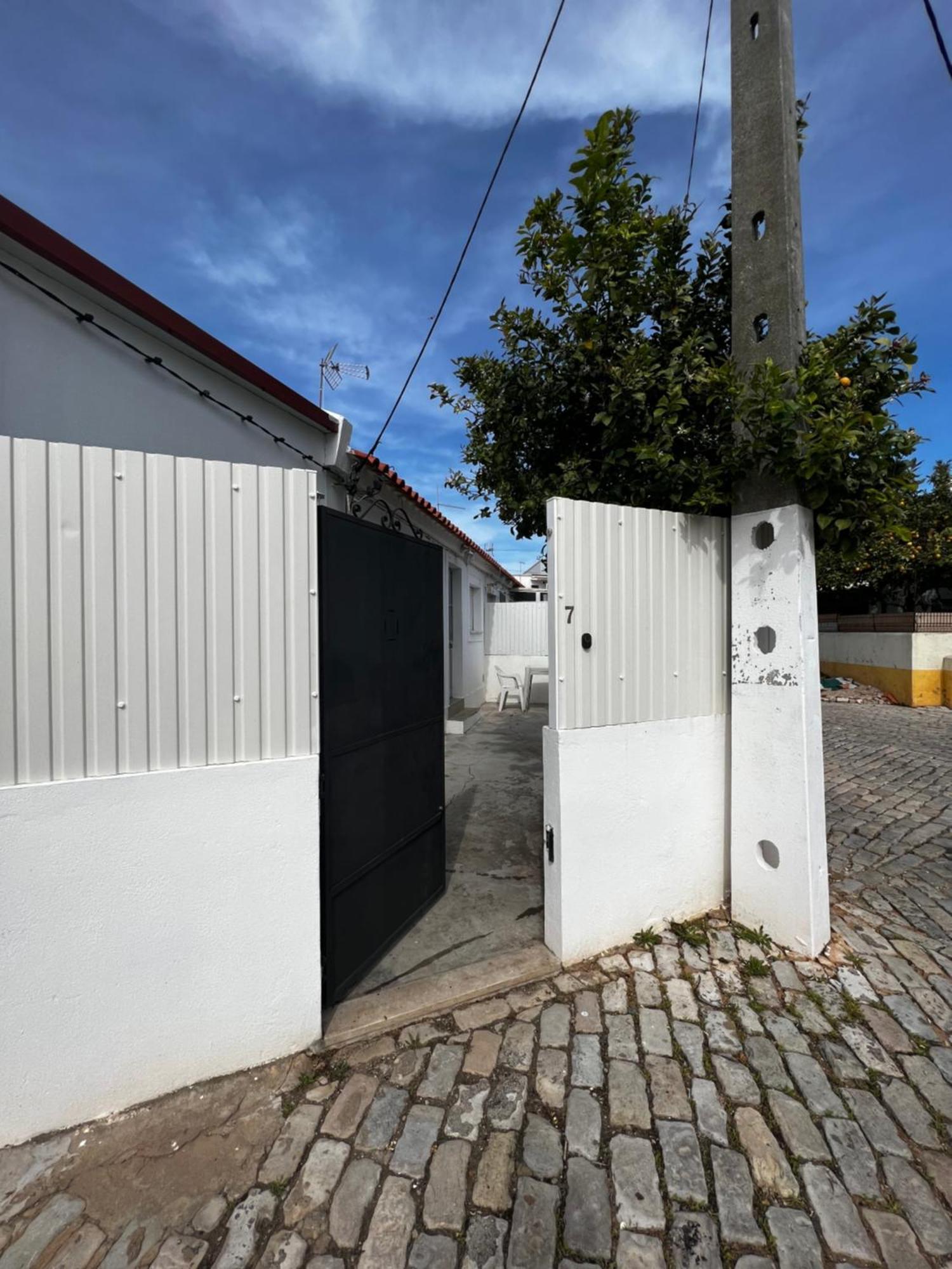 O Limoeiro - 154949/al * Faro