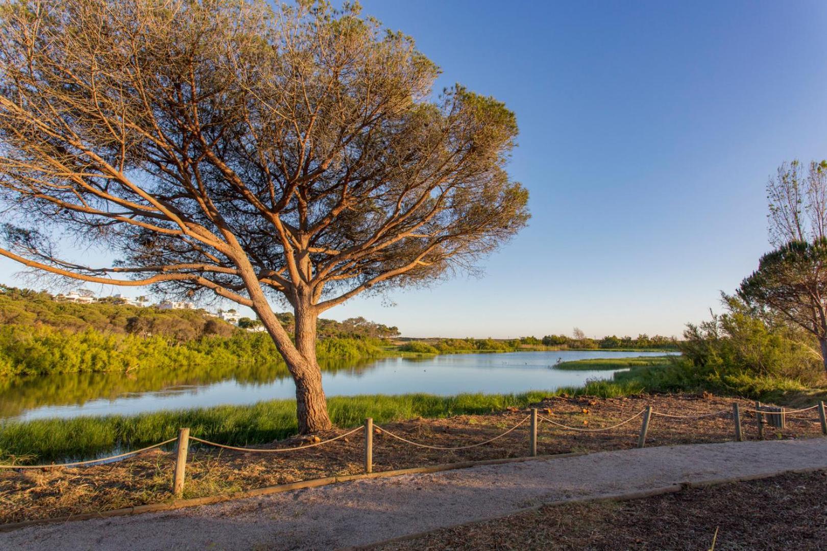 Tranquil Hideaway Olhos De Agua Holiday home *