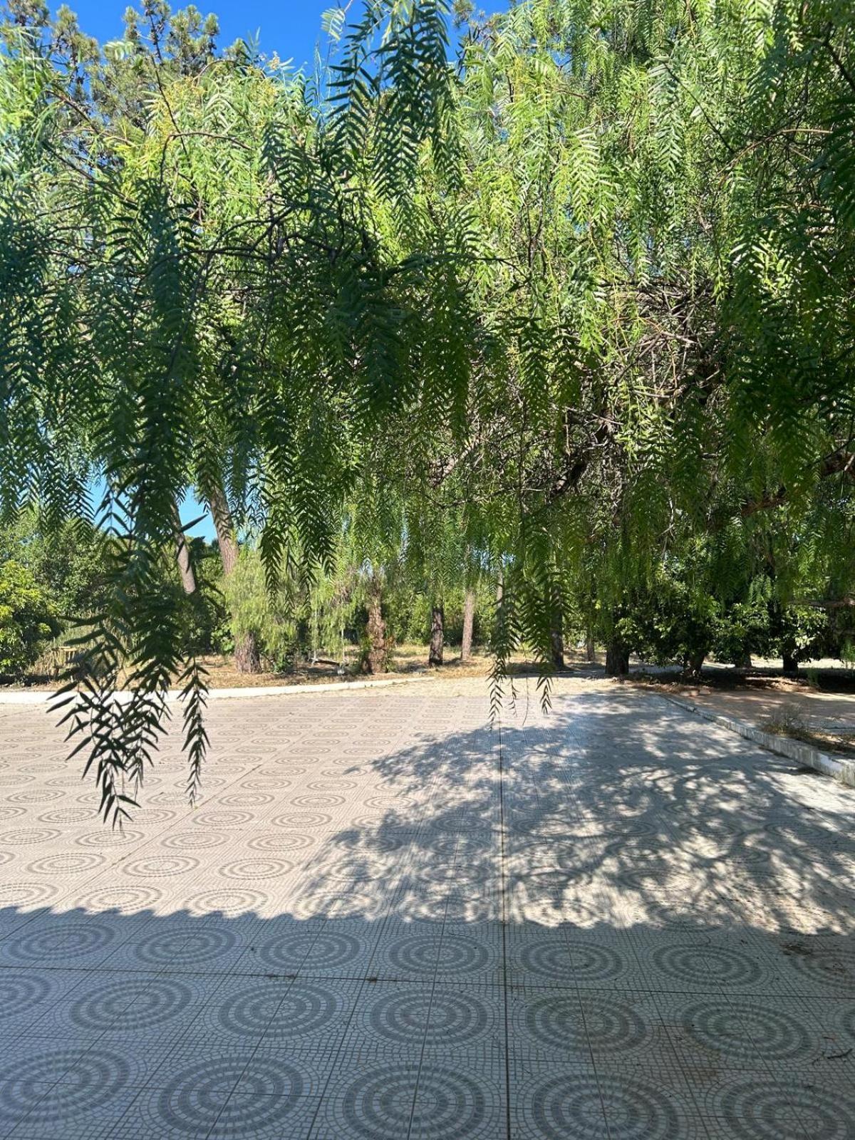 Guest house Quinta Algarve Santa Barbara de Nexe