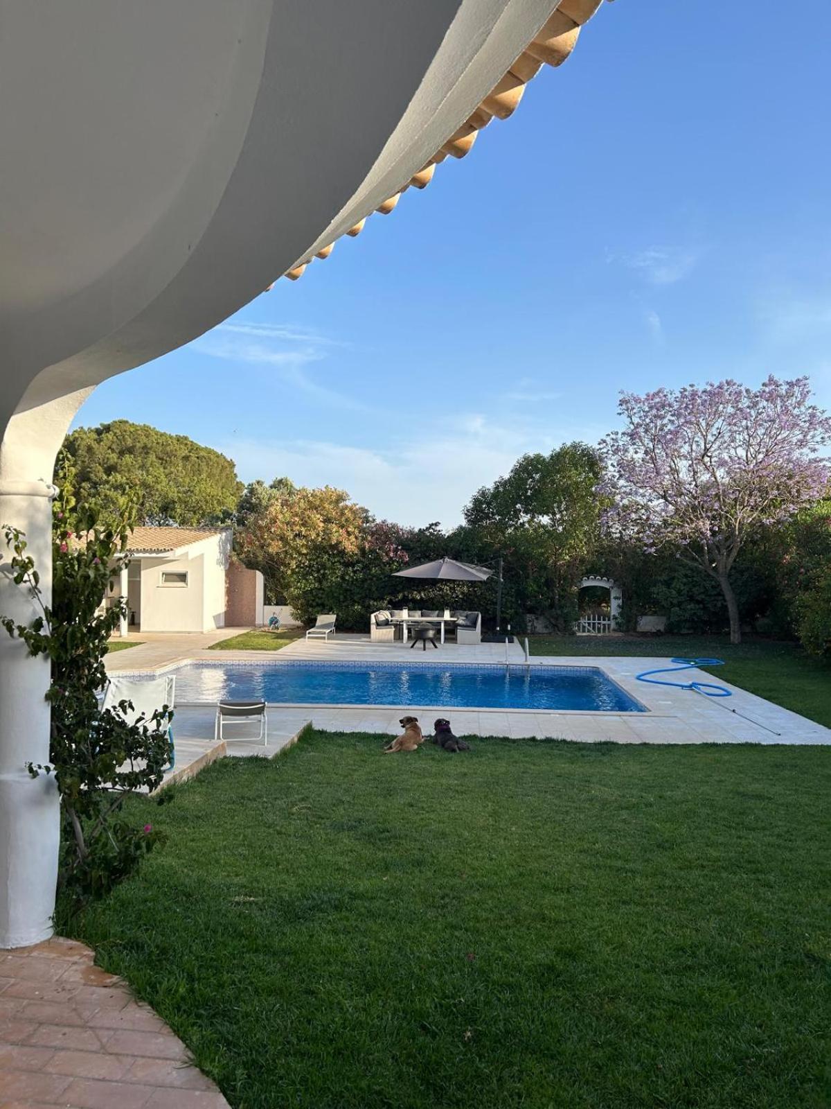 Guest house Quinta Algarve Santa Barbara de Nexe