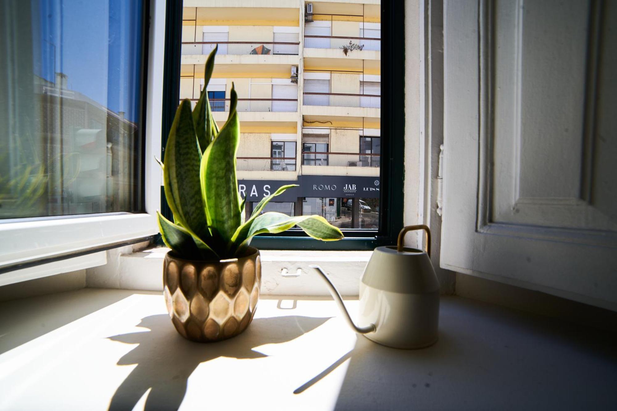 Bed & Breakfast Baron - Faro