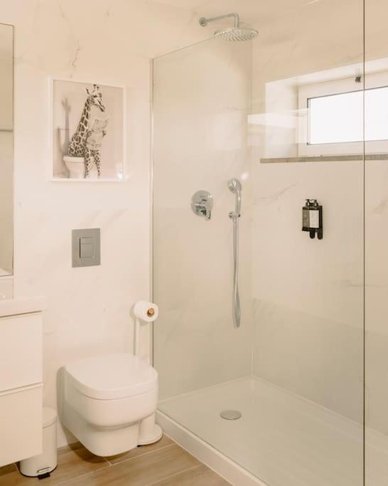 Glam House No Coracao Da * FAO