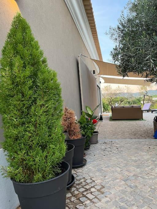 Holiday home Quinta Da Alfarrobeira Peaceful Countryside Faro