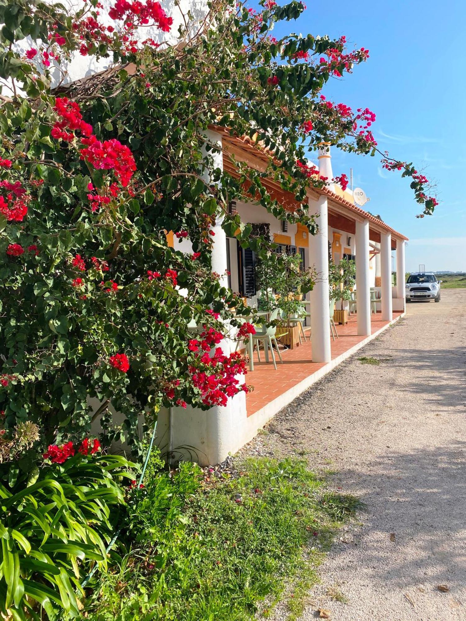 Herdade Dos Salgados Do Fialho Country house *