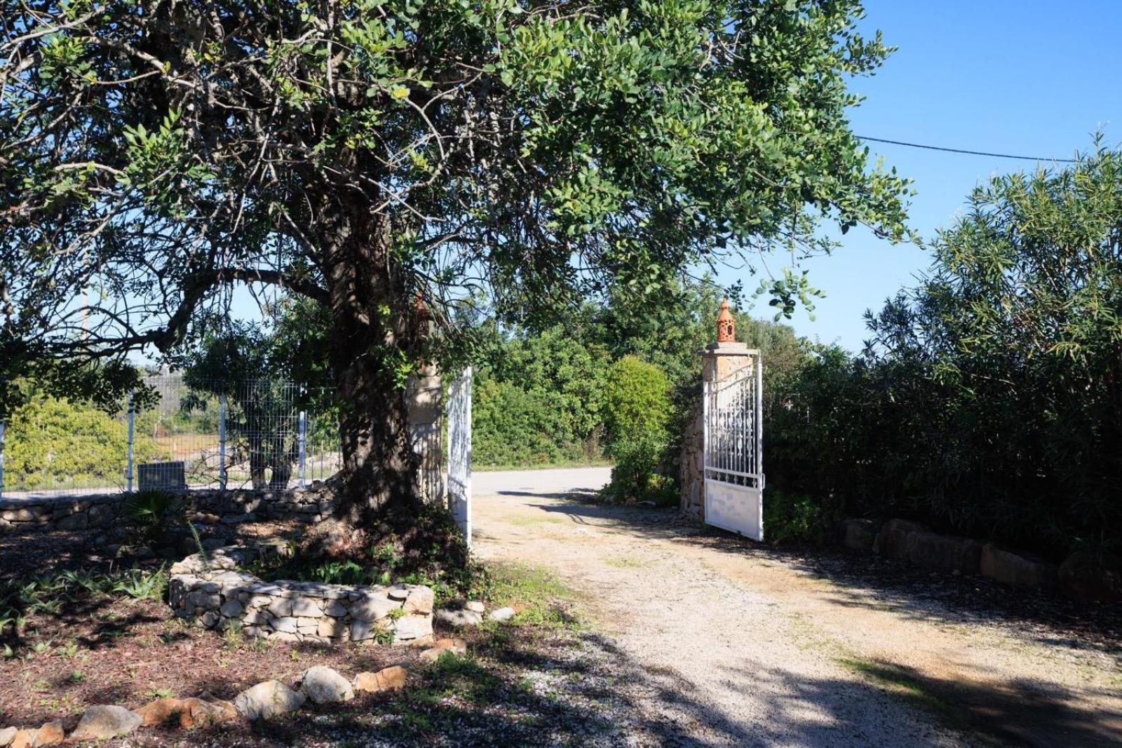 Casa Dos Avos Faro
