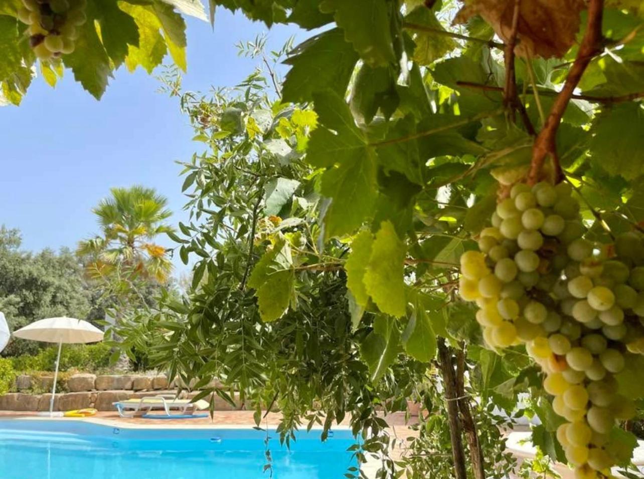 Casa Dos Avos Villa *