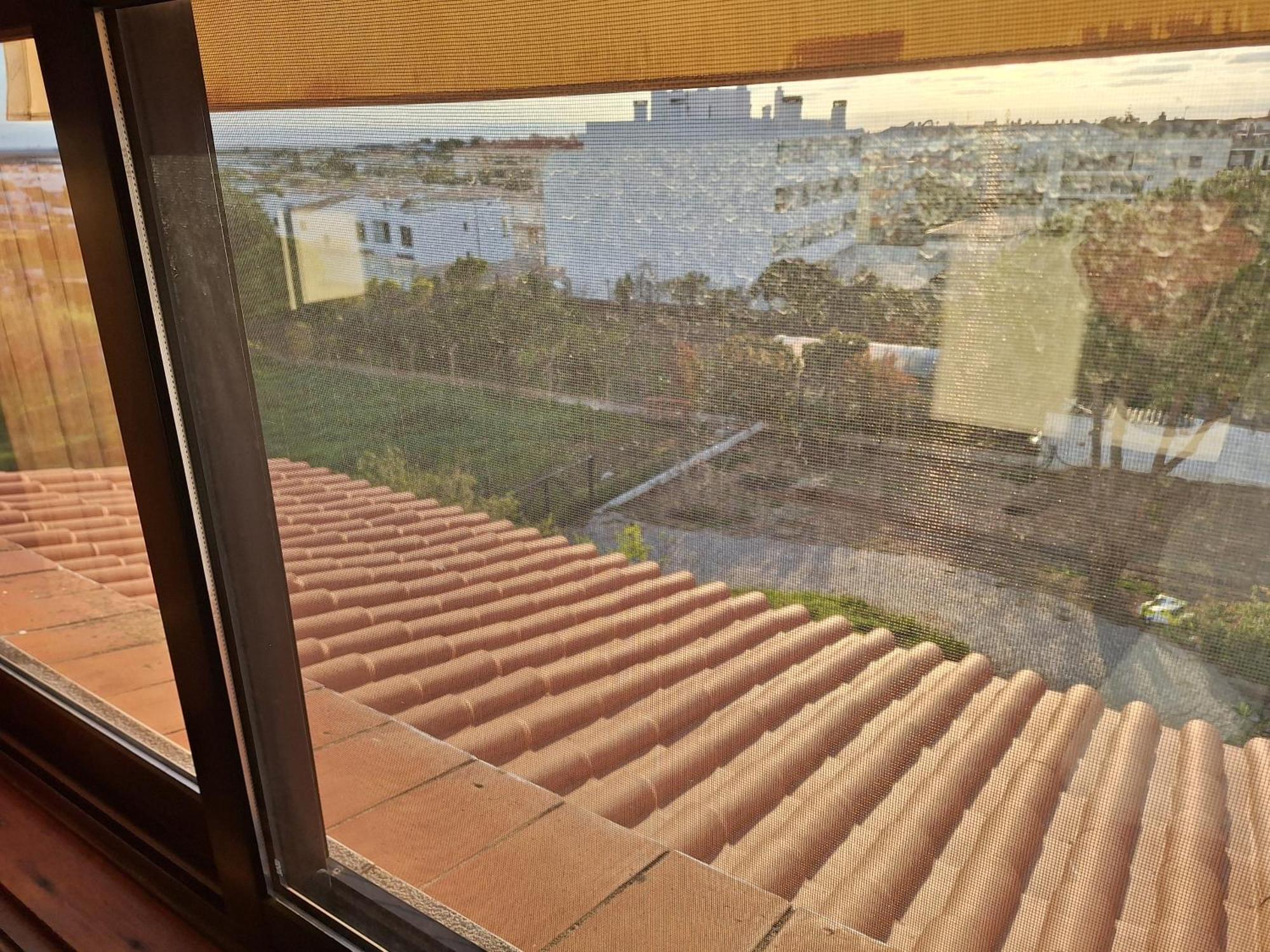 Homestay Monteverde