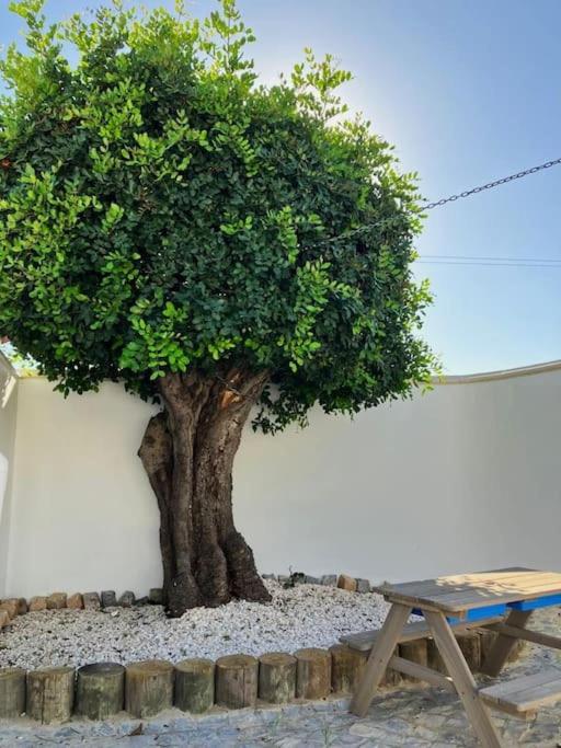 Lana - Heated Pool - Sea View - Two Independent Floors