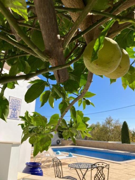 Lana - Heated Pool - Sea View - Two Independent Floors Villa