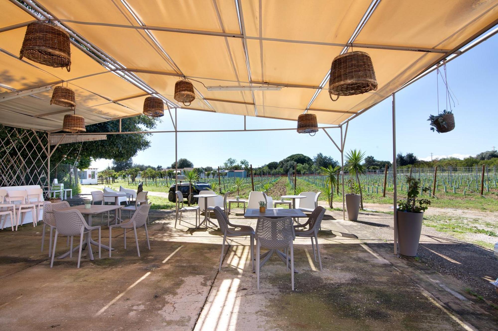 Holiday home Casa Xarem - Vinhas De Nexe *