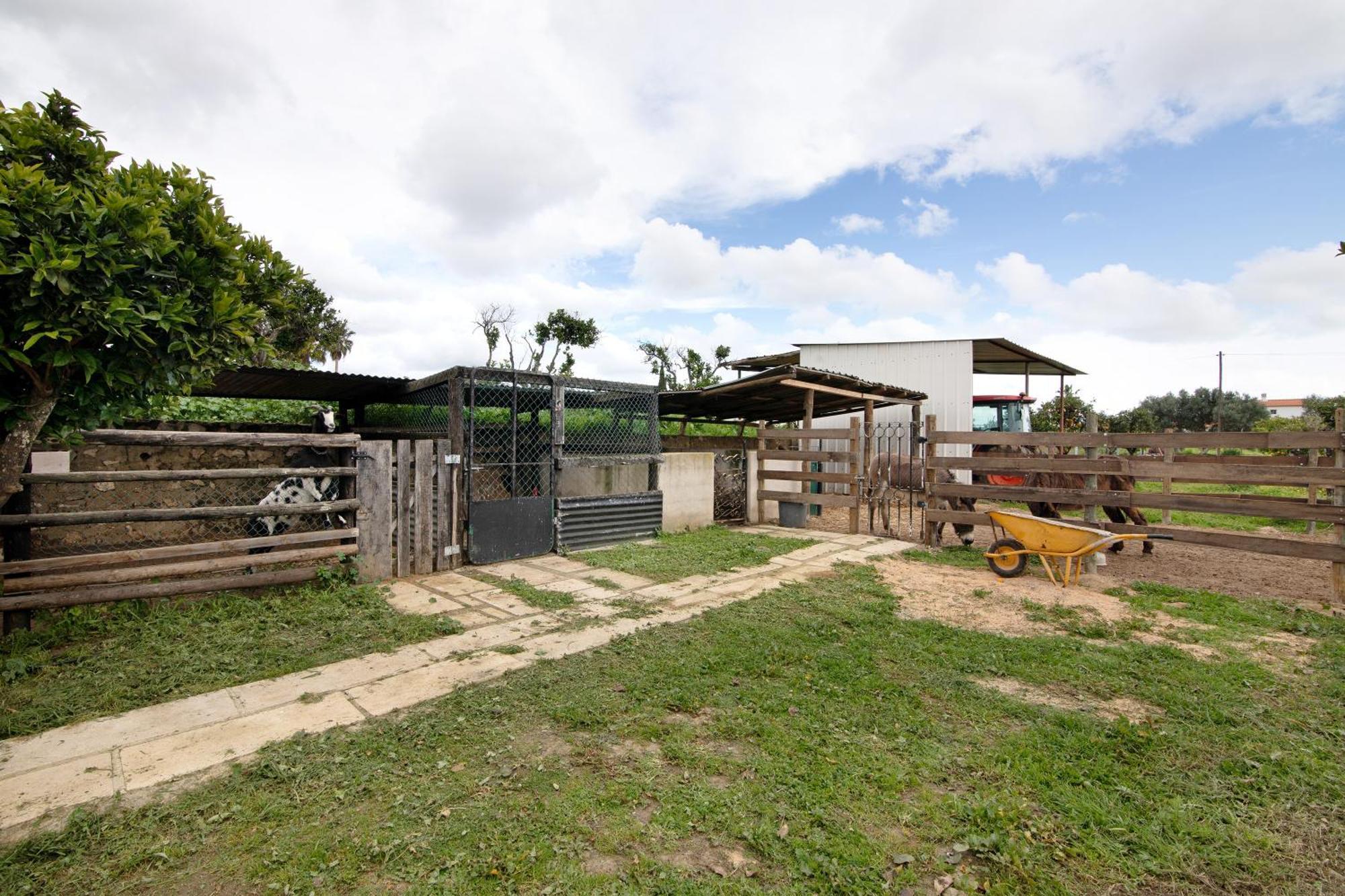 Casa Lavadeira - Vinhas De Nexe Holiday home