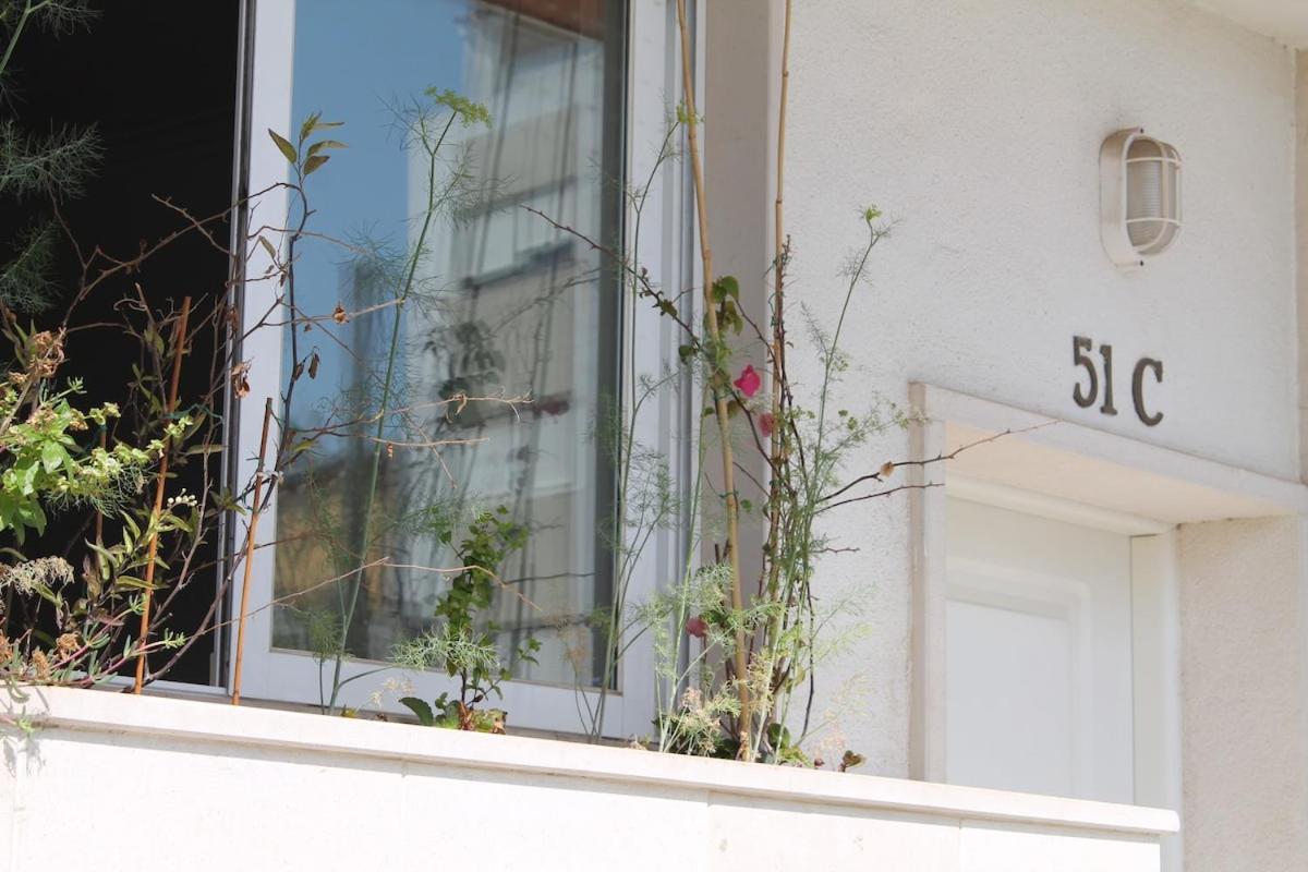 Lovely Flat In The Center Faro