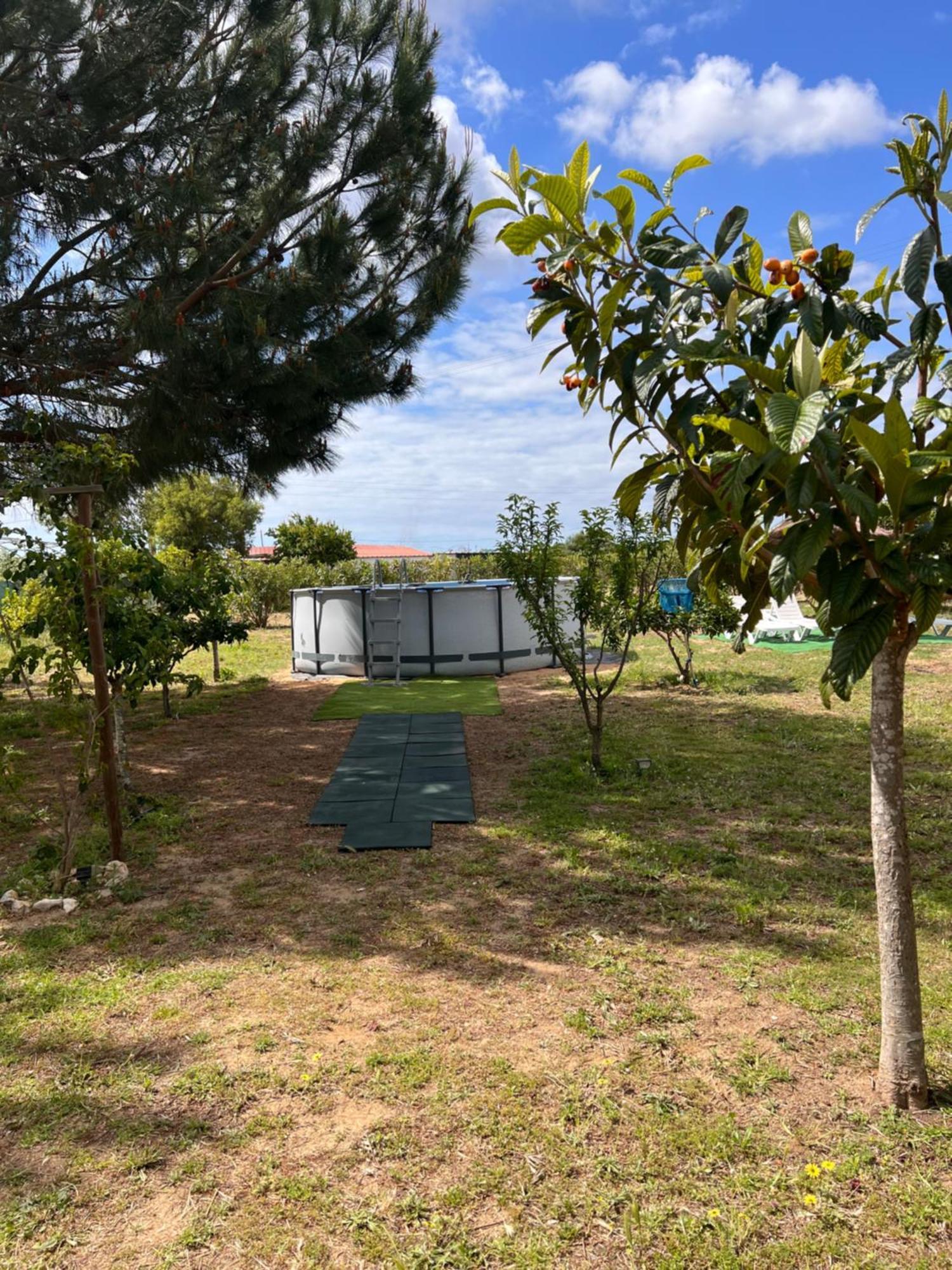 Quinta Dos Viegas Holiday home Faro