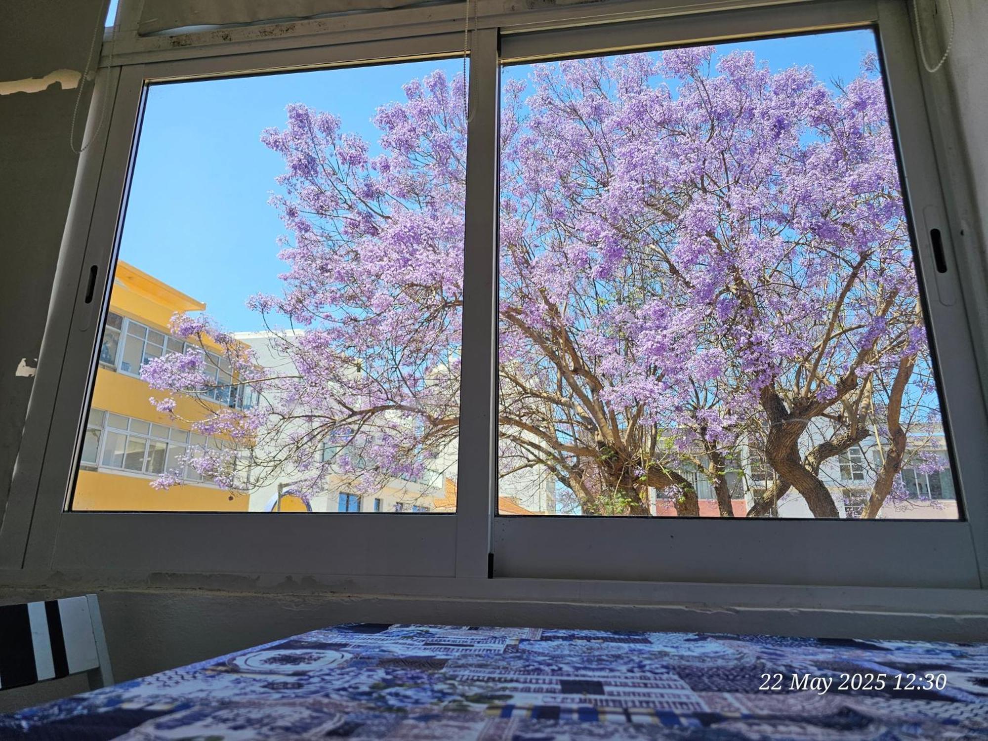 Blife Farensya Private Apartment Faro