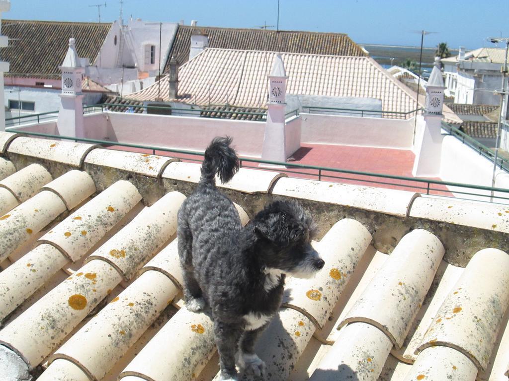 Guest house Capitao Mor