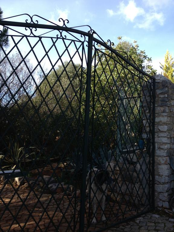 Quinta Do Alecrim Holiday home